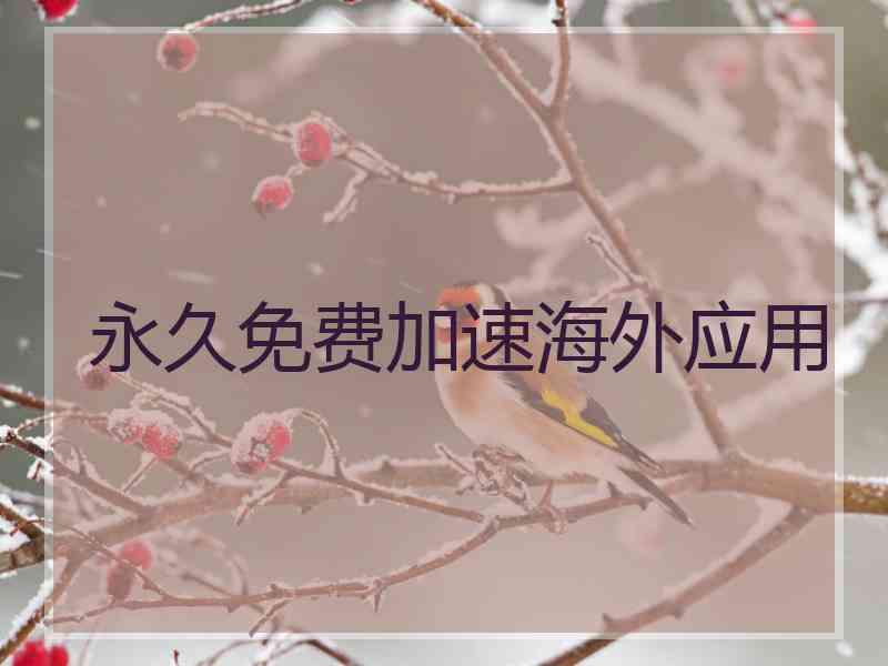 永久免费加速海外应用