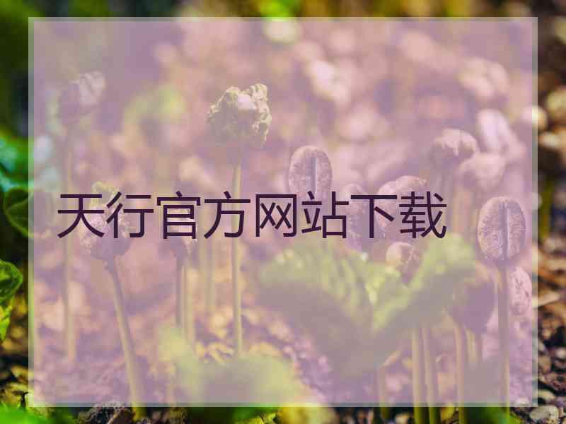 天行官方网站下载