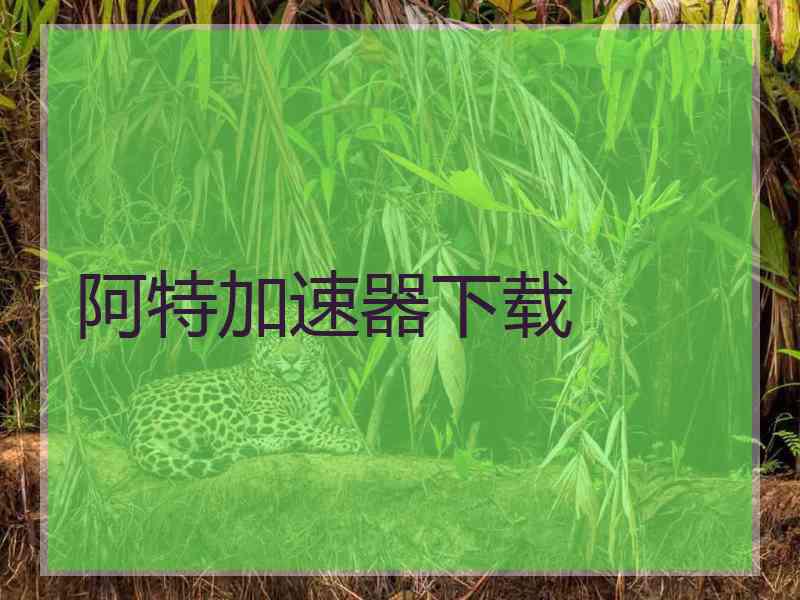 阿特加速器下载