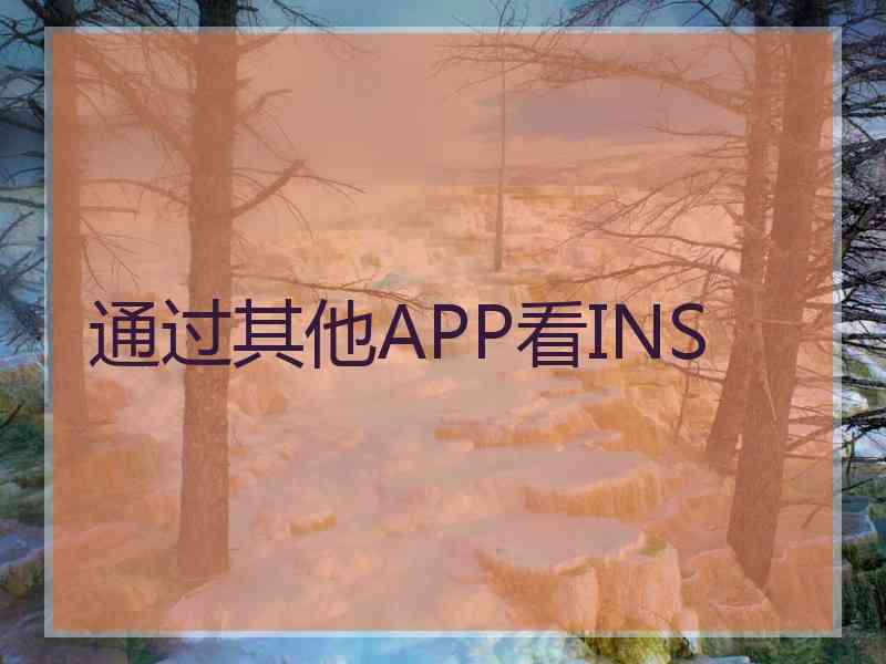 通过其他APP看INS
