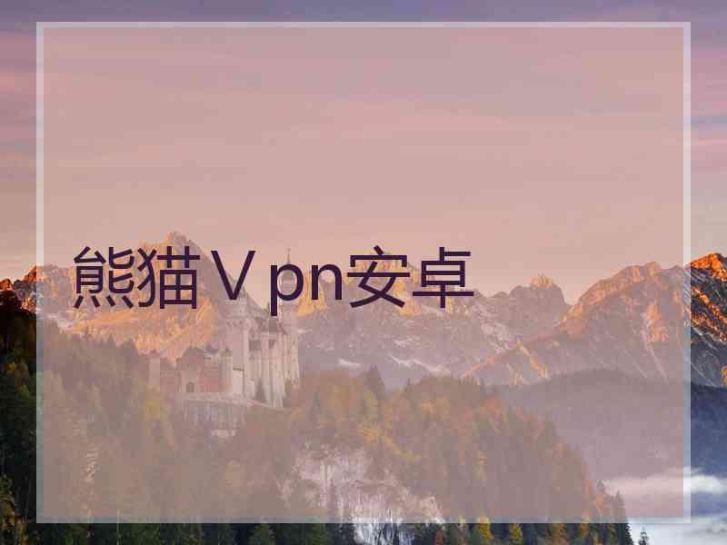 熊猫Ⅴpn安卓