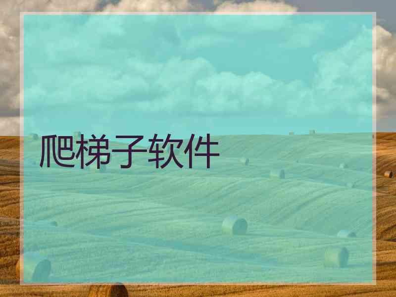 爬梯子软件