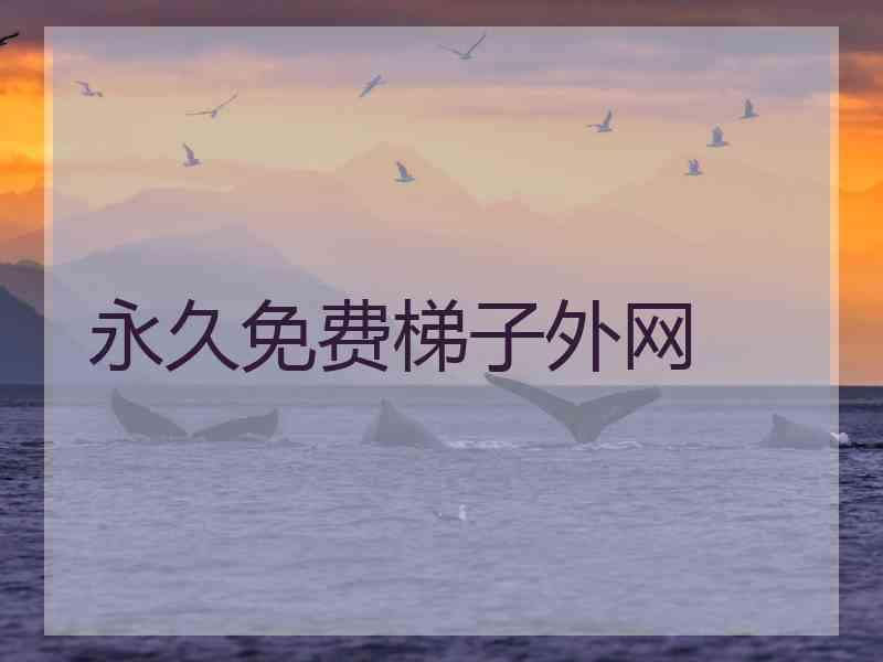 永久免费梯子外网