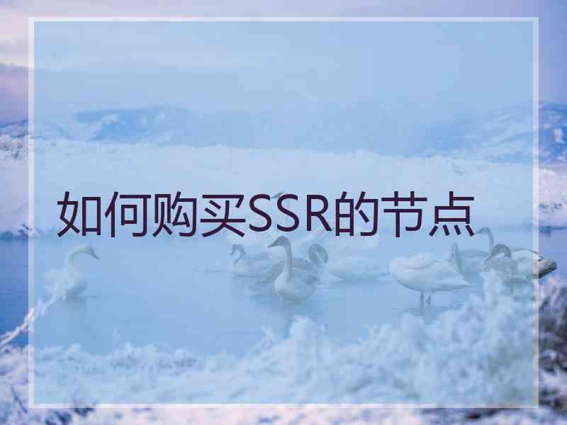 如何购买SSR的节点