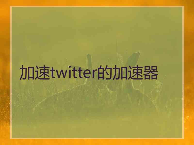 加速twitter的加速器