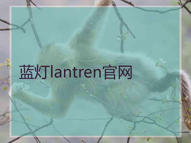 蓝灯lantren官网
