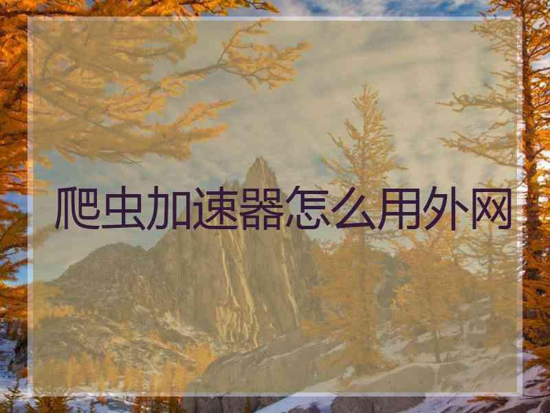 爬虫加速器怎么用外网