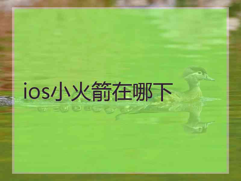 ios小火箭在哪下