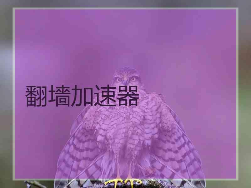 翻墻加速器