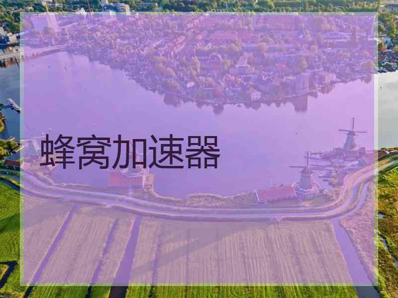蜂窝加速器