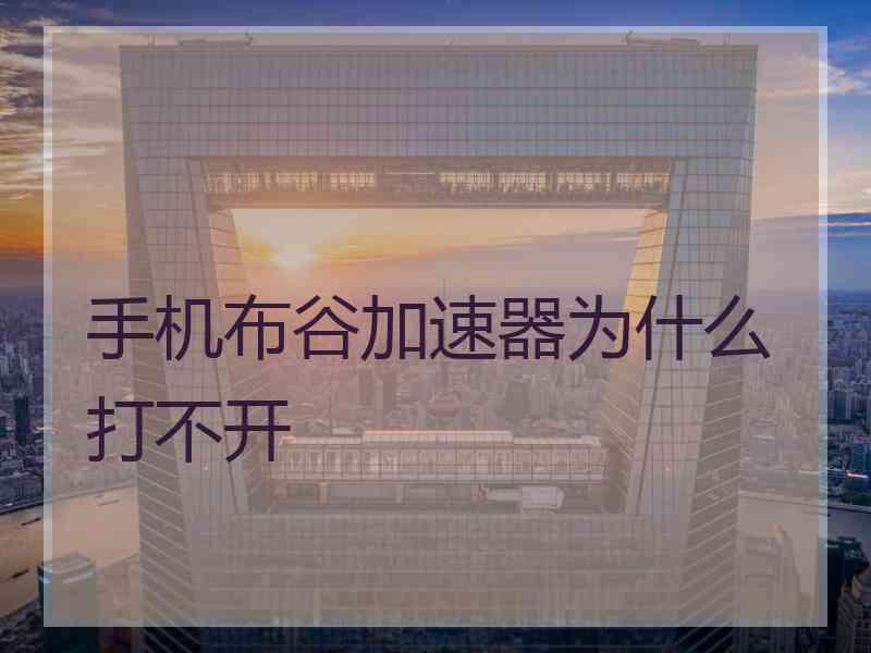 手机布谷加速器为什么打不开