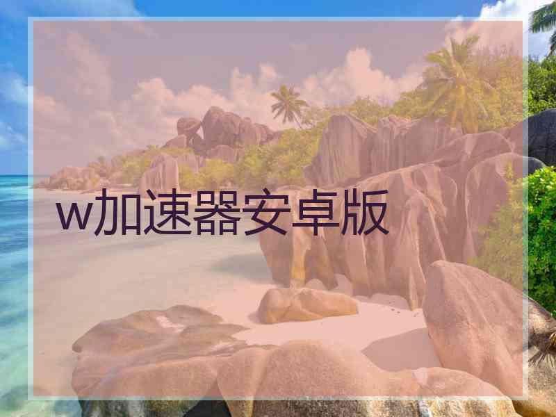 w加速器安卓版
