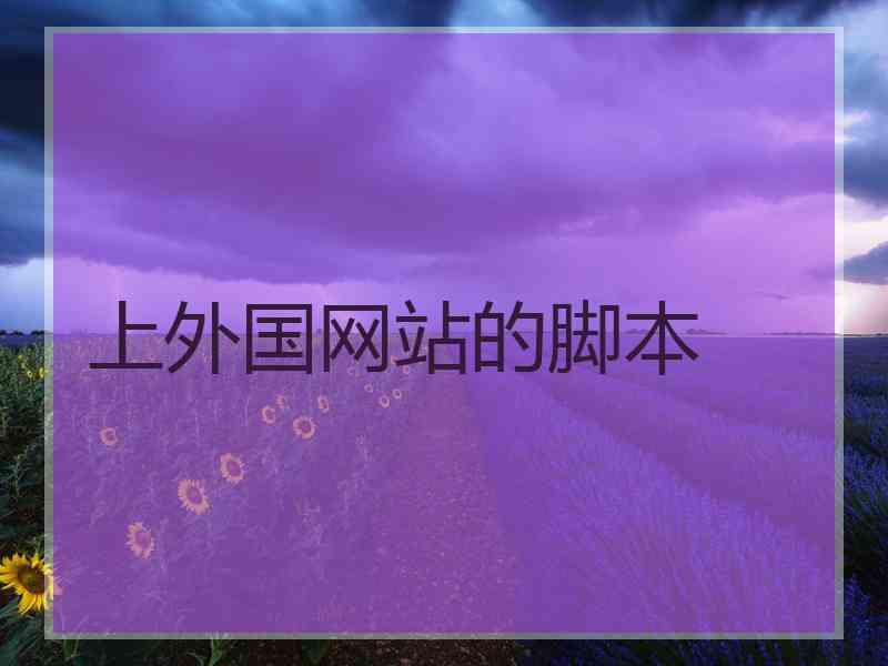 上外国网站的脚本