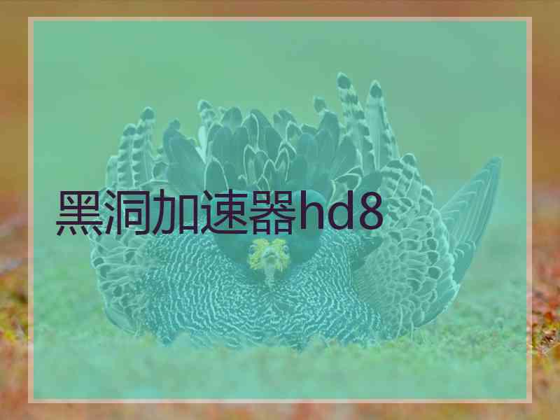 黑洞加速器hd8