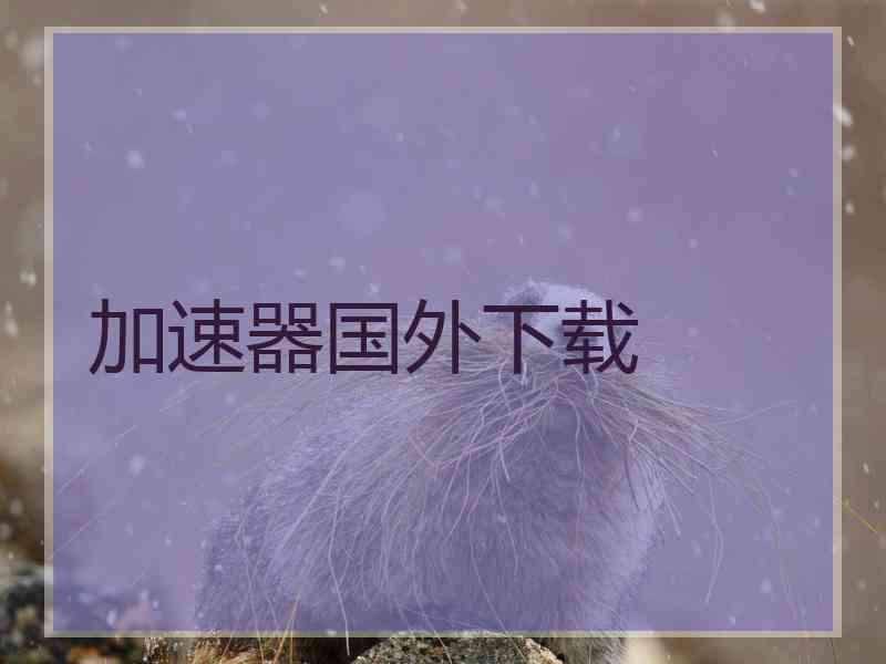加速器国外下载