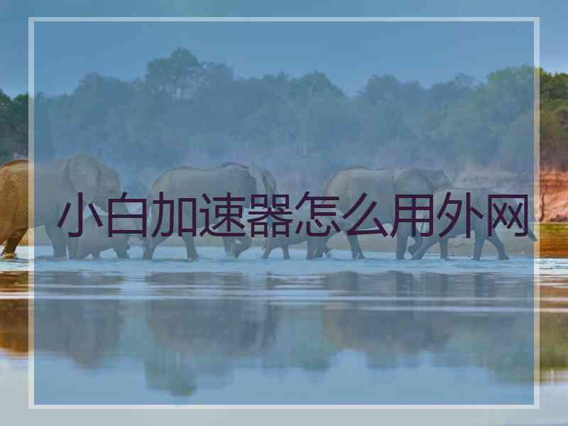 小白加速器怎么用外网