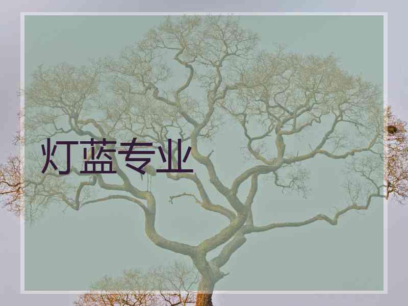 灯蓝专业