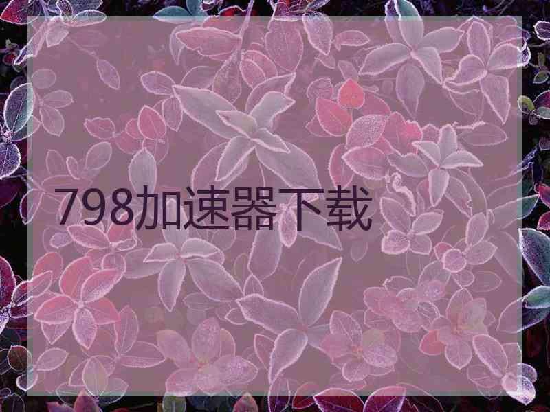798加速器下载