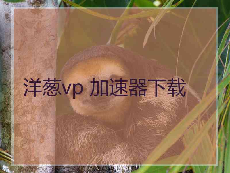 洋葱vp 加速器下载