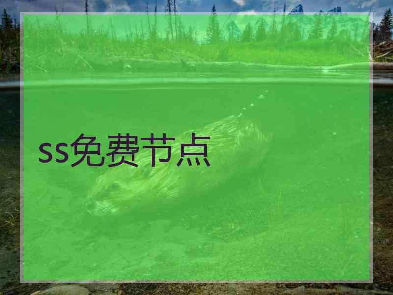 ss免费节点