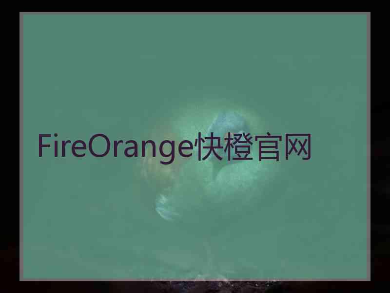 FireOrange快橙官网