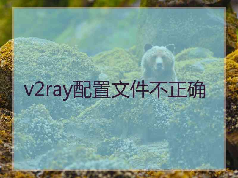 v2ray配置文件不正确