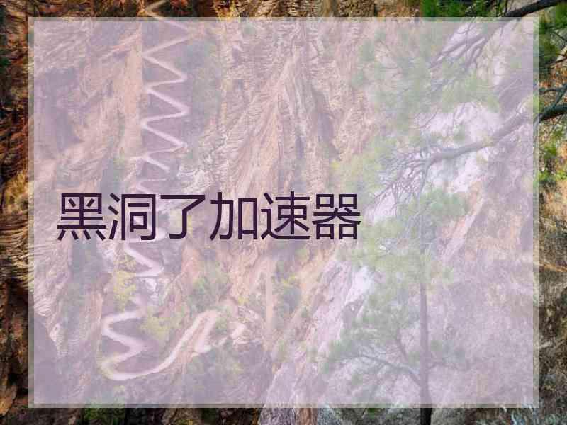 黑洞了加速器