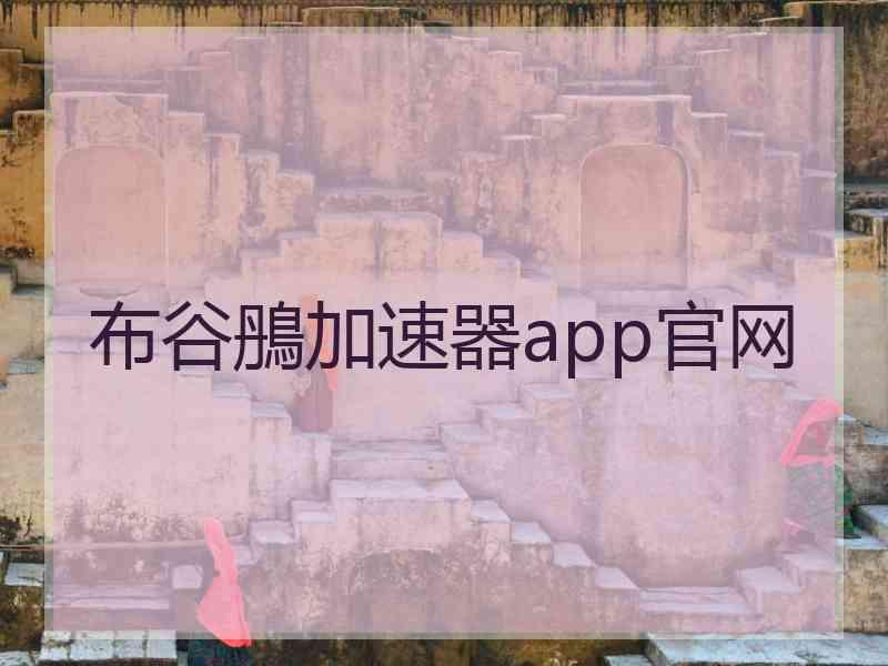 布谷鴅加速器app官网