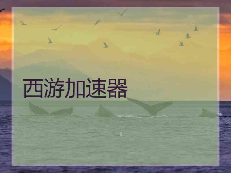 西游加速器