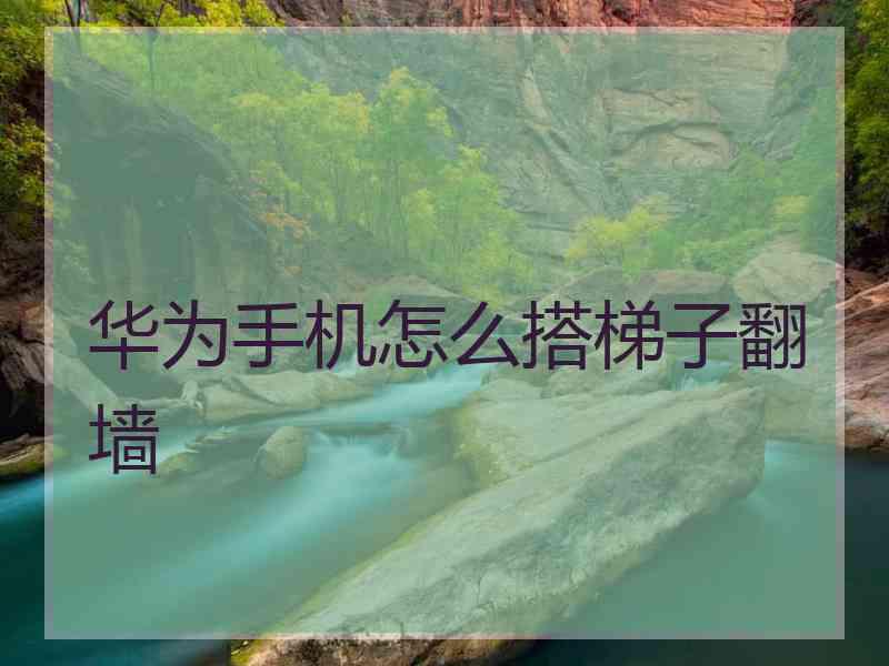 华为手机怎么搭梯子翻墙