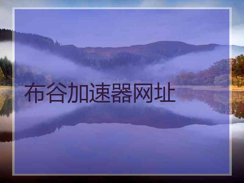布谷加速器网址