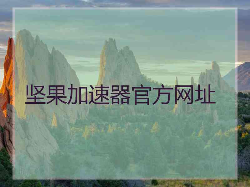 坚果加速器官方网址