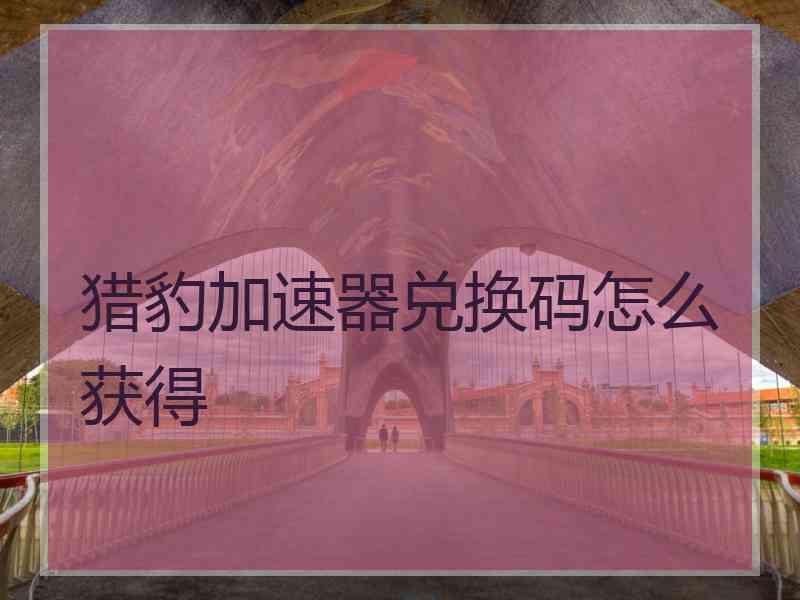 猎豹加速器兑换码怎么获得