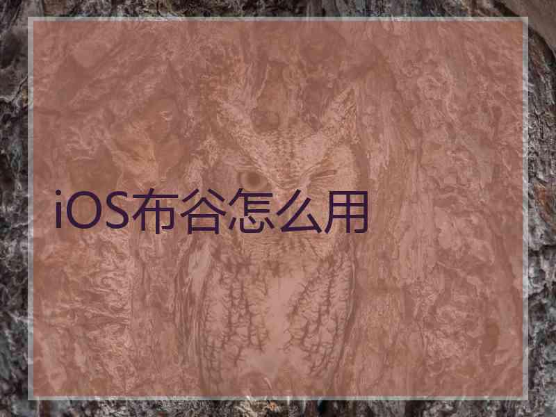 iOS布谷怎么用
