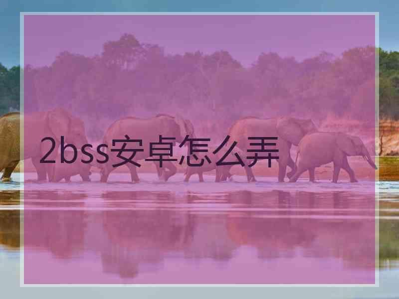 2bss安卓怎么弄