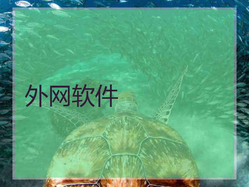 外网软件