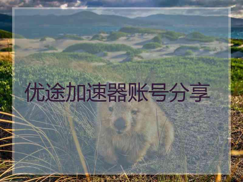 优途加速器账号分享
