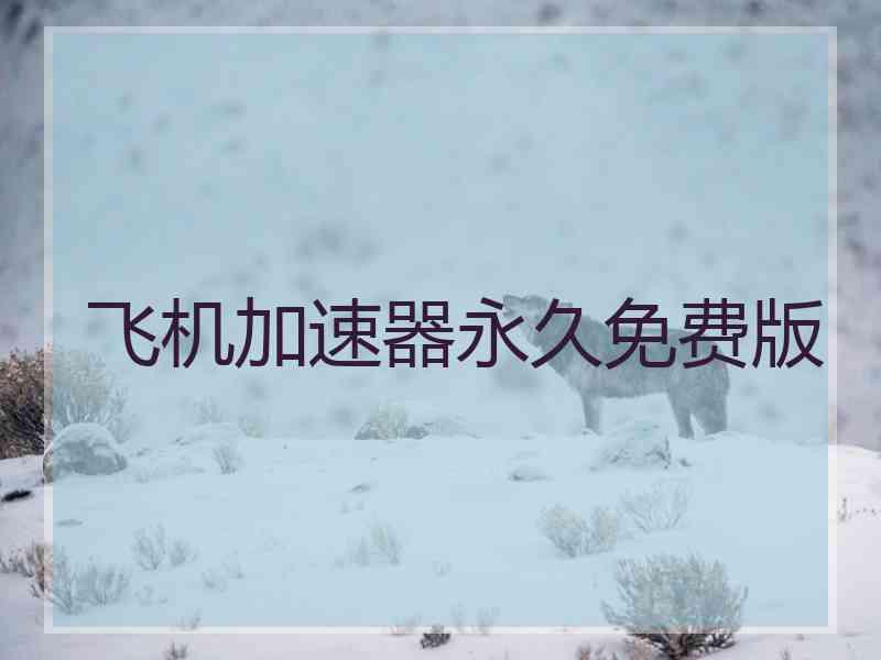 飞机加速器永久免费版