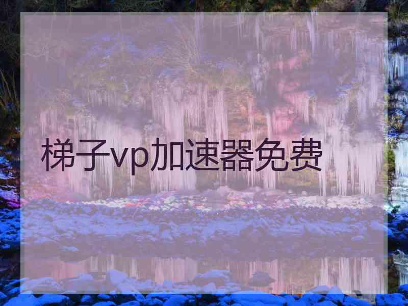 梯子vp加速器免费