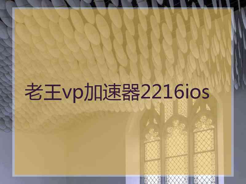 老王vp加速器2216ios