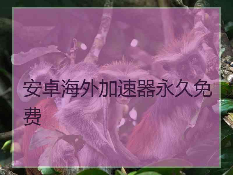 安卓海外加速器永久免费