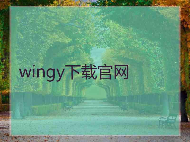 wingy下载官网