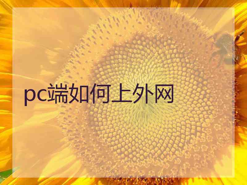 pc端如何上外网