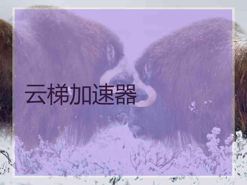 云梯加速器