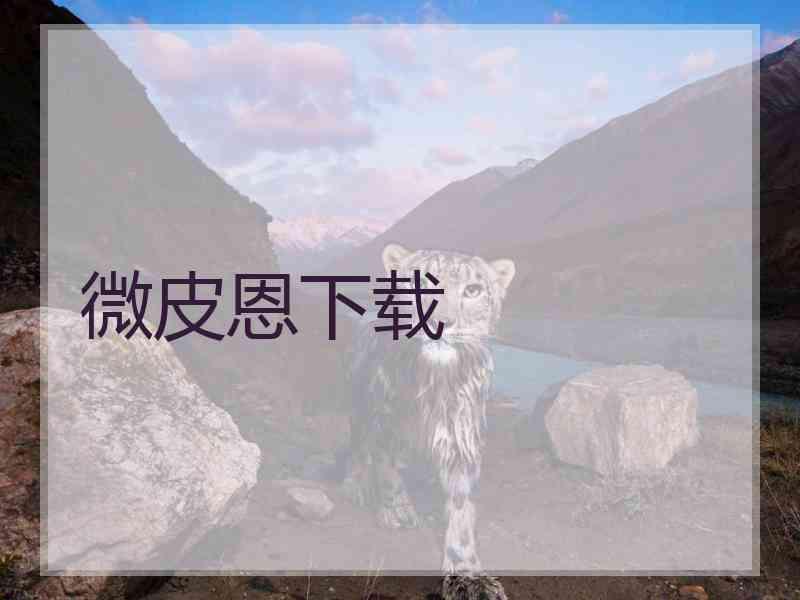 微皮恩下载