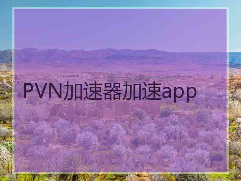 PVN加速器加速app