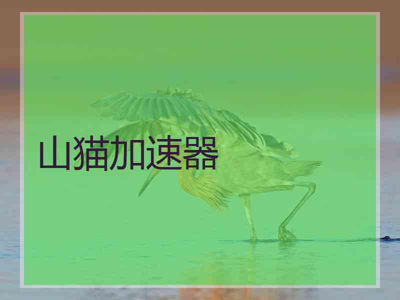 山猫加速器