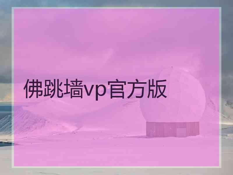 佛跳墙vp官方版