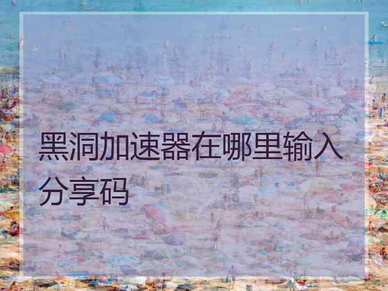 黑洞加速器在哪里输入分享码