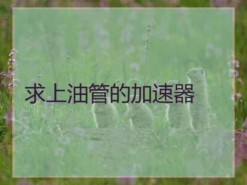 求上油管的加速器